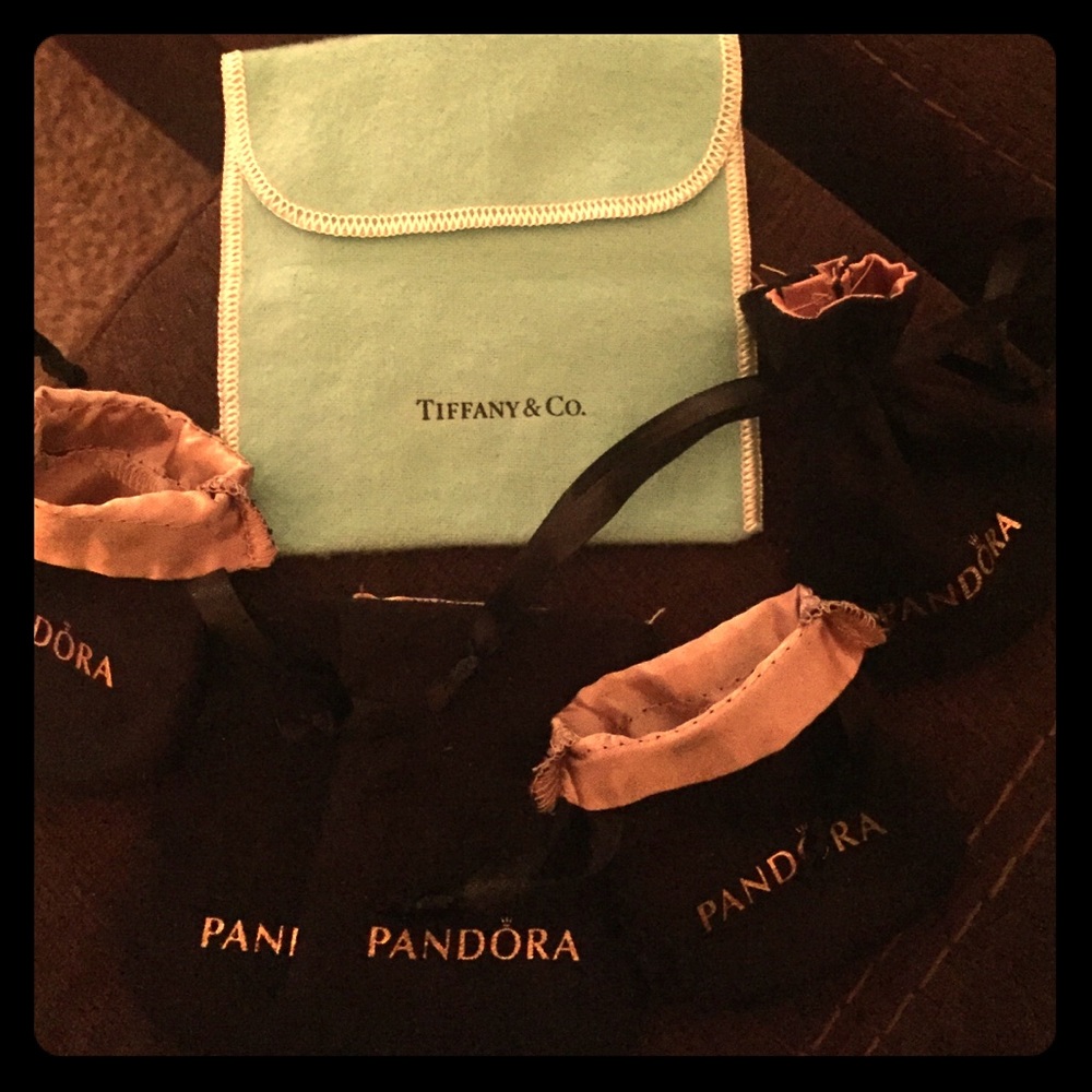 (1) Tiffany & Co. & (5) Pandora jewelry bags